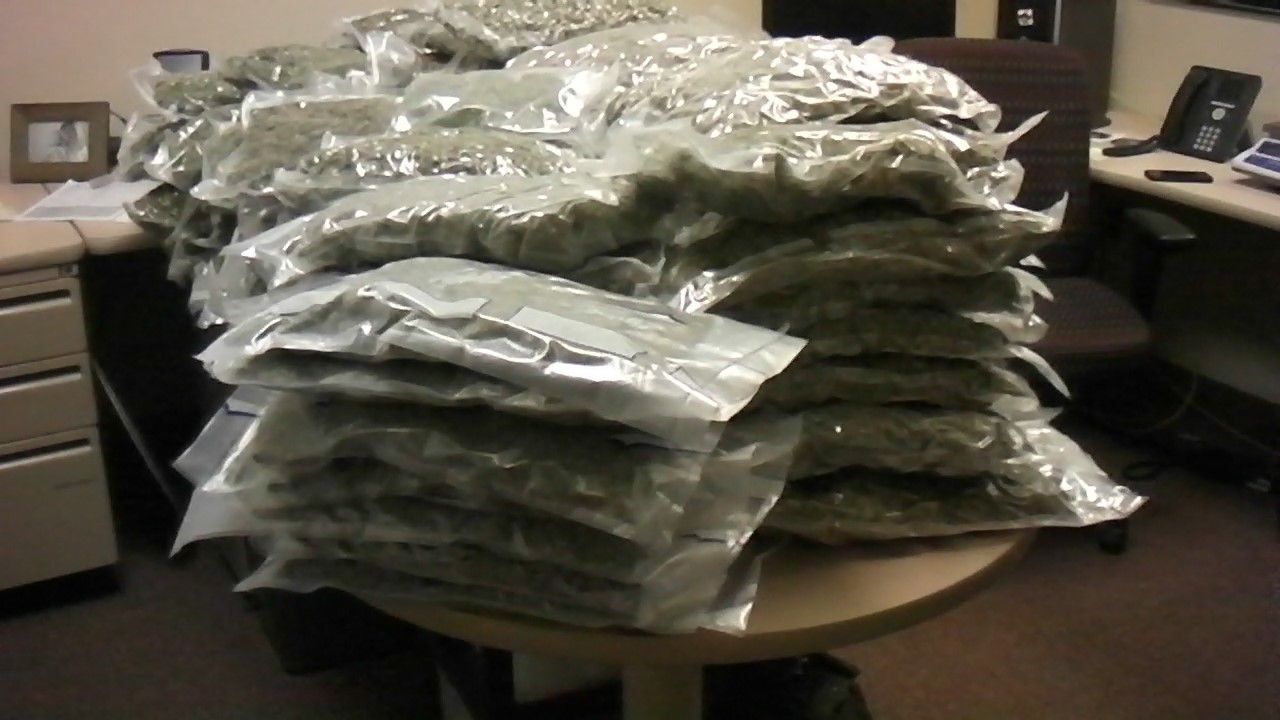 100 pounds of marijuana